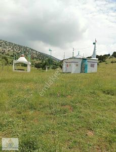 Arsa-Tarla