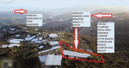 Arsa-Bağ & Bahçe