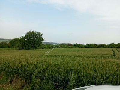 Arsa-Tarla