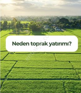 Arsa-Villa İmarlı