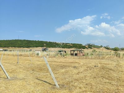 Arsa-Tarla