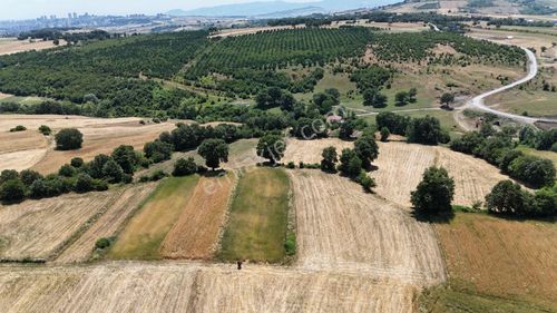 Arsa-Tarla