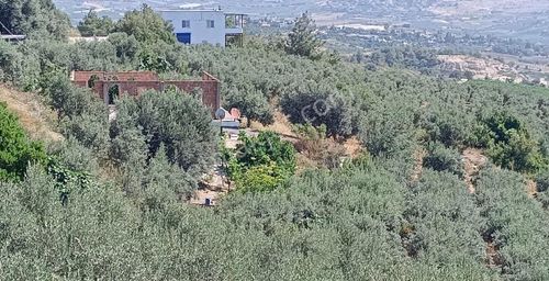 Arsa-Bağ & Bahçe