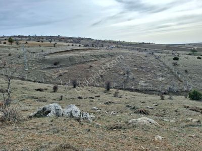 Arsa-Tarla
