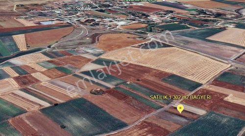 Arsa-Bağ & Bahçe
