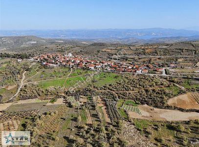 Arsa-Tarla