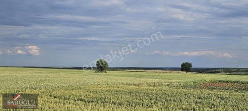 Arsa-Tarla