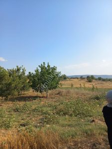 Arsa-Tarla