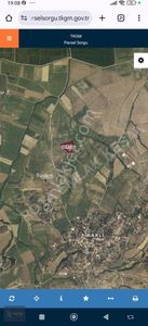 Arsa-Tarla
