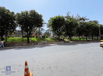 İşyeri-Dükkan & Mağaza