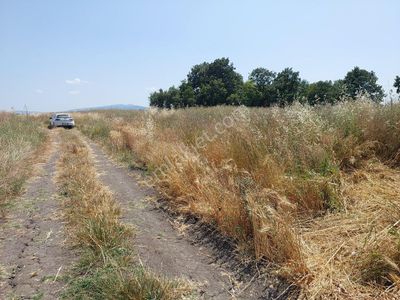 Arsa-Tarla