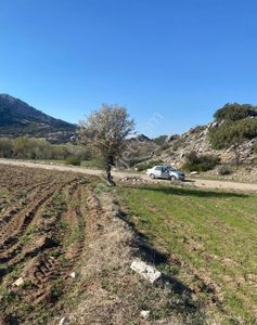 Arsa-Tarla
