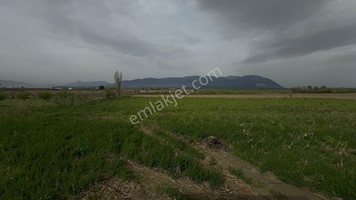 Arsa-Tarla