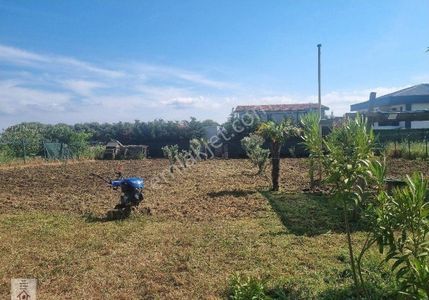 Arsa-Konut İmarlı