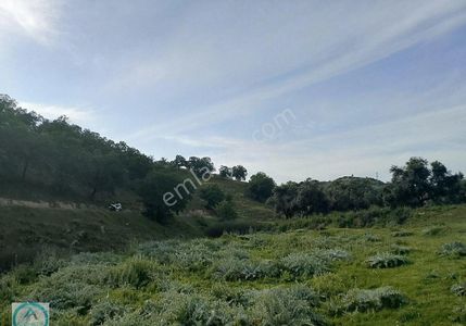 Arsa-Konut İmarlı