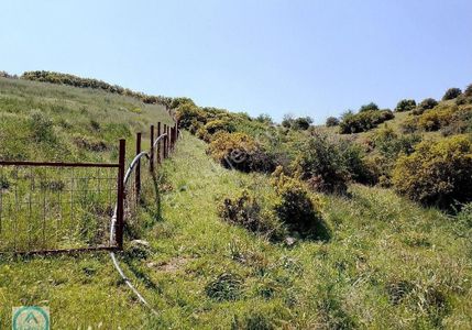 Arsa-Bağ & Bahçe