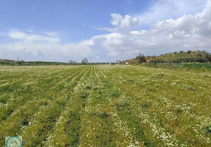 Arsa-Tarla