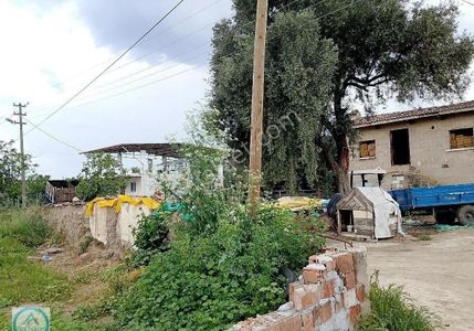 Arsa-Konut İmarlı
