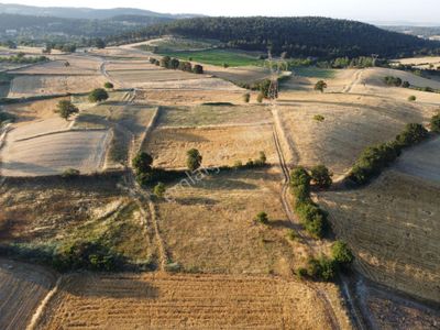 Arsa-Tarla