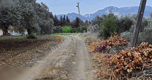 Arsa-Konut İmarlı