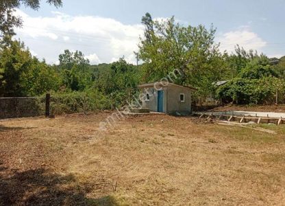 Arsa-Konut İmarlı