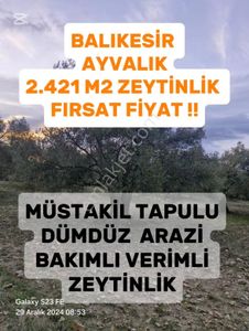 Arsa-Tarla