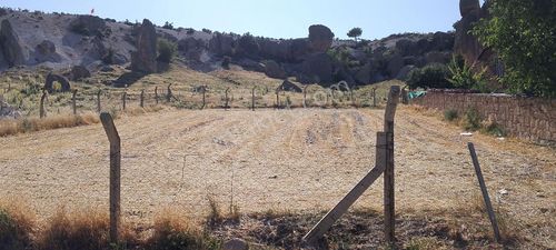 Arsa-Arazi