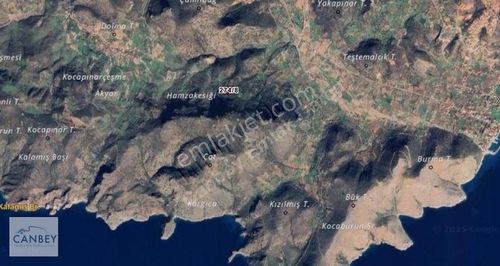 Arsa-Zeytinlik