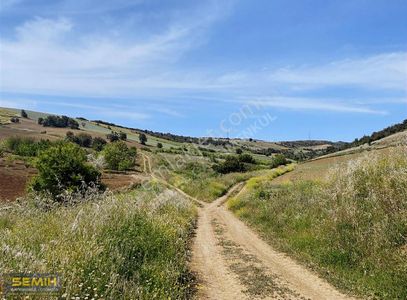 Arsa-Tarla