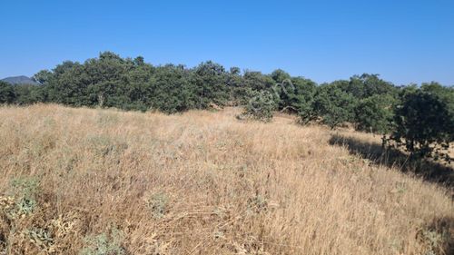 Arsa-Tarla