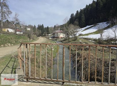 Arsa-Tarla