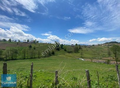 Arsa-Tarla