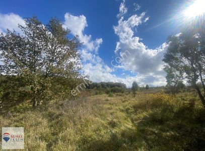 Arsa-Tarla