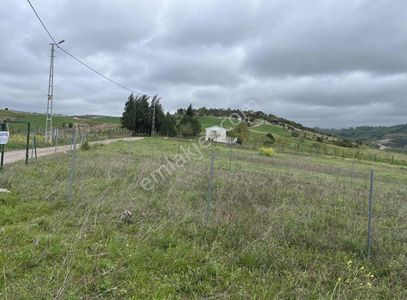 Arsa-Tarla