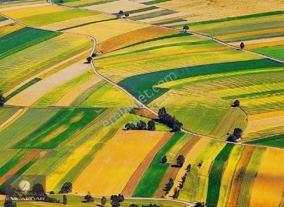 Arsa-Tarla