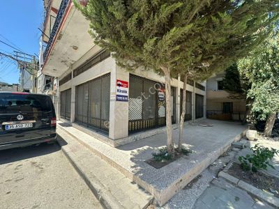 İşyeri-Dükkan & Mağaza