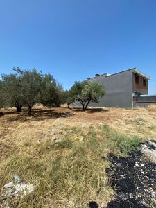 Arsa-Konut İmarlı