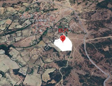 Arsa-Tarla