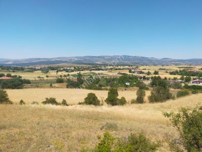 Arsa-Tarla