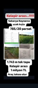 Arsa-Tarla
