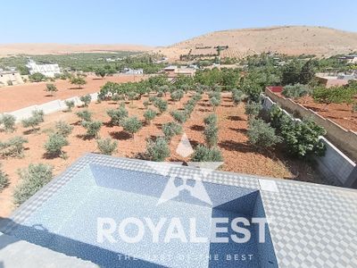 Arsa-Arazi