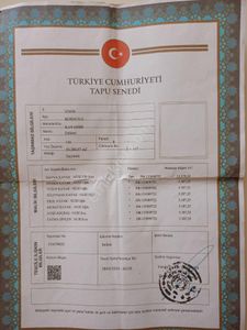 Arsa-Zeytinlik