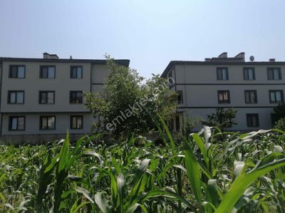 Arsa-Tarla