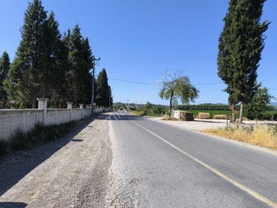 Arsa-Tarla