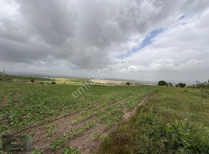 Arsa-Tarla