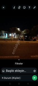 Arsa-Zeytinlik