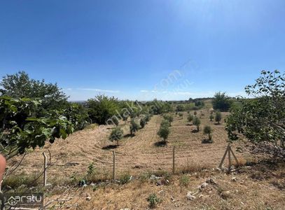Arsa-Konut İmarlı
