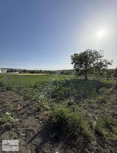 Arsa-Tarla