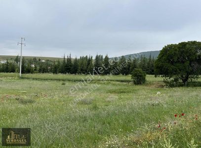Arsa-Tarla