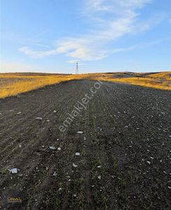 Arsa-Tarla